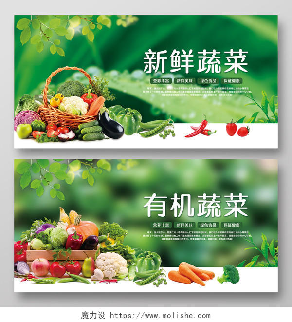 绿色清新蔬菜店新鲜有机蔬菜促销宣传展板